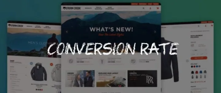 聊聊电商独立站流量跟转化那些事儿