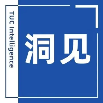 谁在押注Shein?