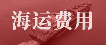 海运收费大起底，别再当“韭菜”被割了！