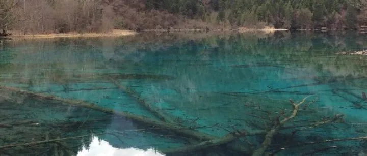 人工智能的发展历史