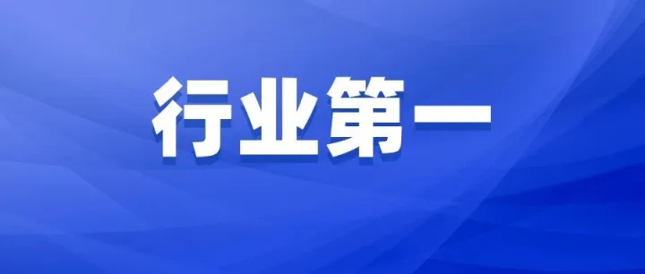 权威发布！欧税通在中国VAT行业市占率第一