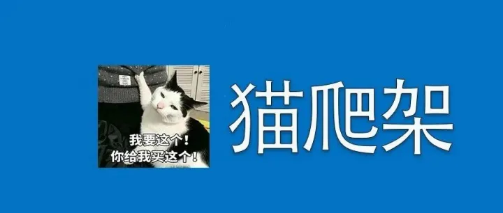 宠物经济赛道出海，不小心就能做成爆款！