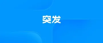 “废除”原税号！德国本土税号大变天！警惕申报风险