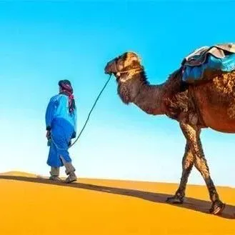 中东电商Noon埃及站即将上线