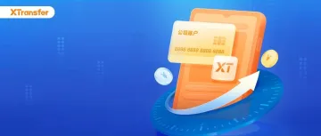 收藏!XTransfer【易企结】最强攻略,你想问的这里都有!