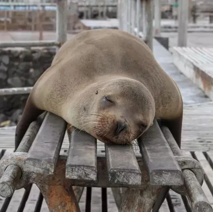 当阿里团队和来自阿里的XT团队在一起，会擦出什么火花?