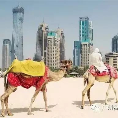 支付宝下一站：阿联酋