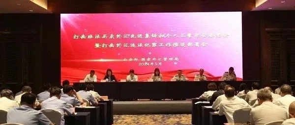 外汇局与公安联手，打击职业化外汇违法犯罪