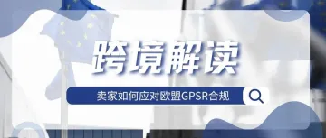 立即行动！多平台已强制实施，欧盟GPSR法规应对详解