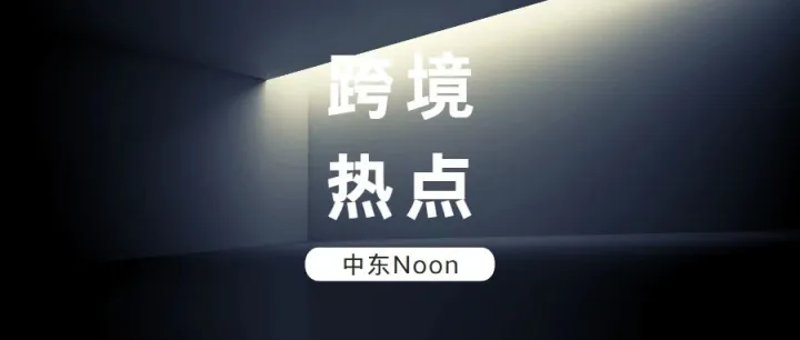 跨境热点 | 中国商家纷纷入驻Noon，中东土豪的钱，真的好赚吗？
