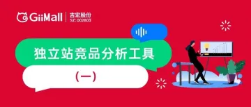 独立站竞品分析工具(一):流量、排名和访问者活动篇