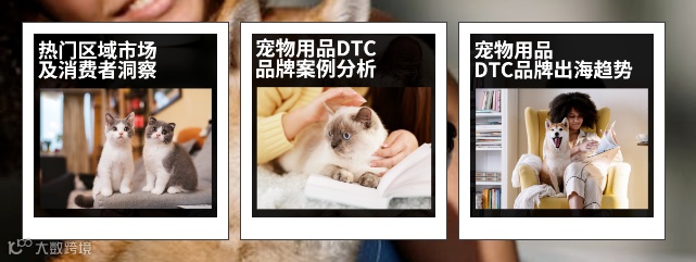 「它经济」出海战况升级，新入场玩家如何后来居上？