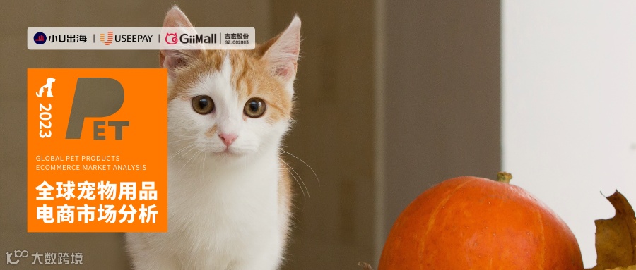 「它经济」出海战况升级，新入场玩家如何后来居上？