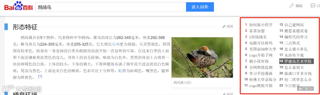 维基百科VS百度百科 多角度对比分析