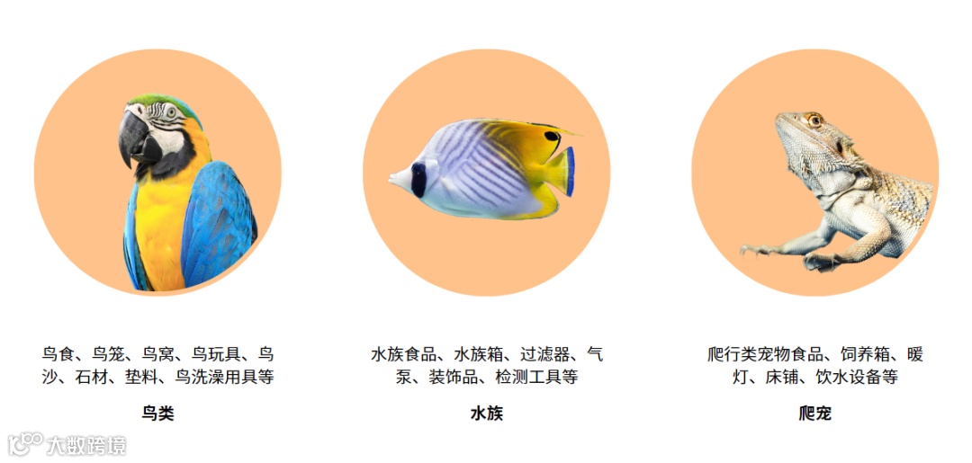 「它经济」出海战况升级，新入场玩家如何后来居上？