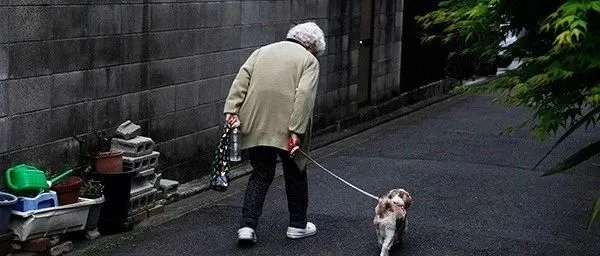 "日本宠物界掀起狂潮！2023年最热门的爆品趋势预测"