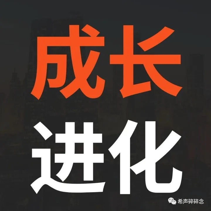 过去的2023年，最有收获的五个点