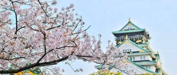 日本人网购喜欢买什么