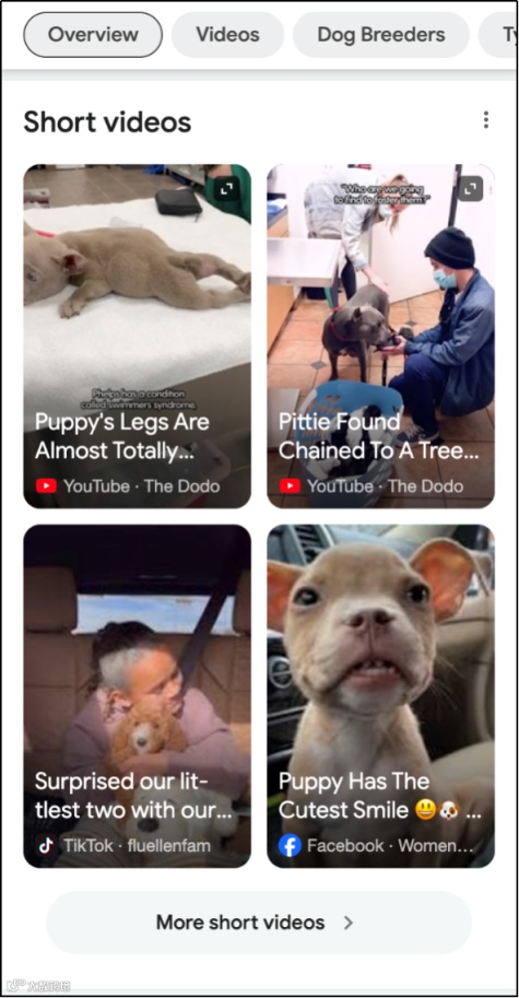 每月资讯 | CBD为您带来行业最新资讯~