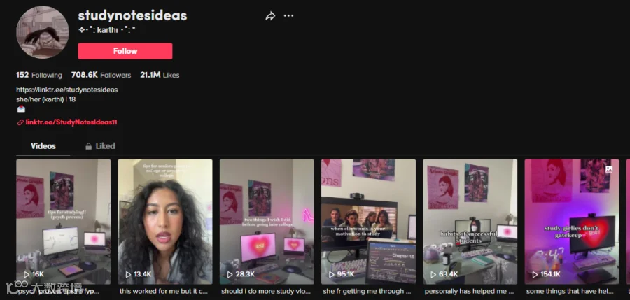 爆款文具走红TikTok,小卖靠品类年赚13万美元