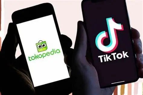 浴火重生！收购Tokopedia、强强合作重塑印尼电商版图