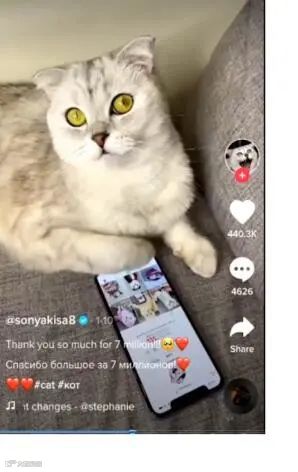TikTok7天快速起号攻略教你快速破零