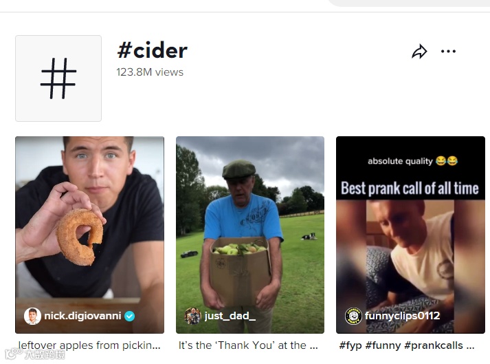 凭一件橙色毛衣引爆TikTok,它不仅只是SHEIN的“后浪”