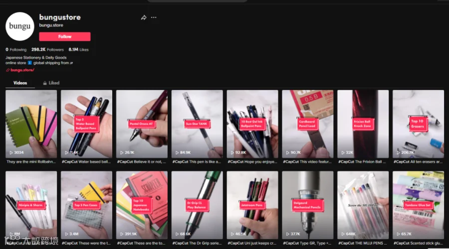 爆款文具走红TikTok,小卖靠品类年赚13万美元