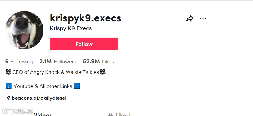 靠“盲盒营销”上市，TikTok玩得贼溜的宠物零食大卖