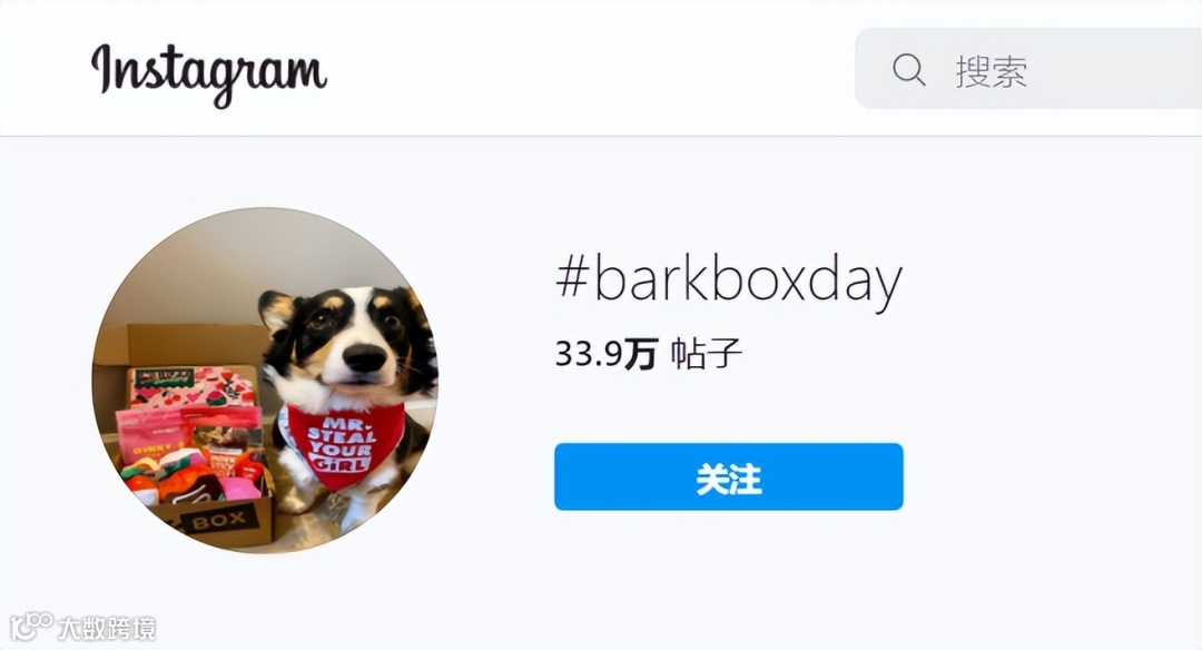 靠“盲盒营销”上市，TikTok玩得贼溜的宠物零食大卖