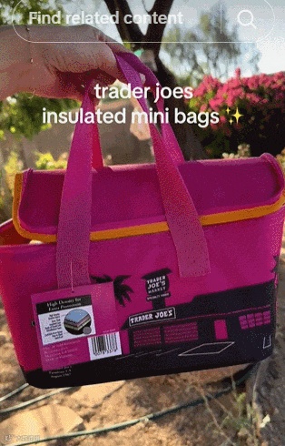 冷藏袋刷屏TikTok!二手价翻10倍