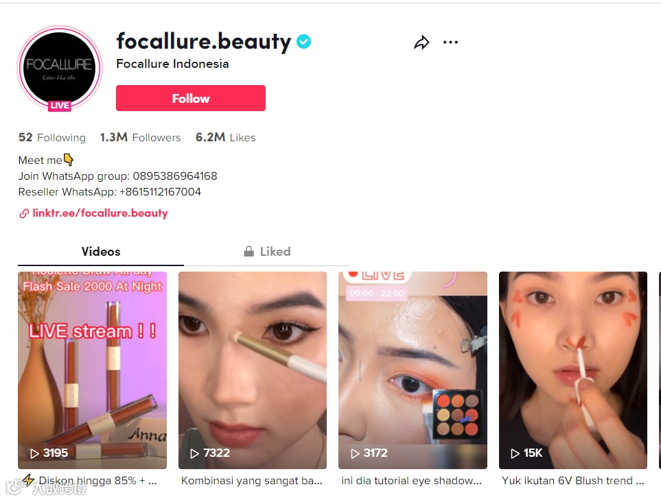 霸榜TikTok美妆前10,吸粉230万,她仅用了一年