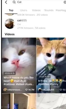 TikTok7天快速起号攻略教你快速破零