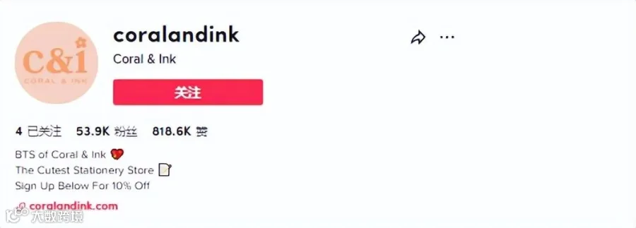 爆款文具走红TikTok,小卖靠品类年赚13万美元
