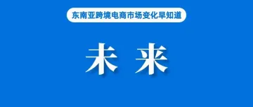 东南亚本土卖家及产品何去何从