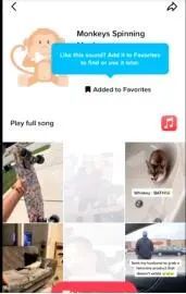 TikTok7天快速起号攻略教你快速破零