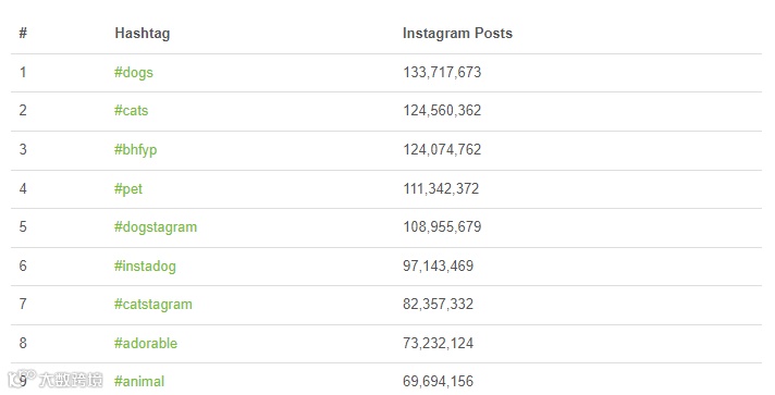 宠物电商“新王”诞生，Chewy逆袭亚马逊