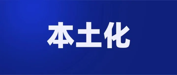 危中存机：东南亚电商卖家的本土化之路