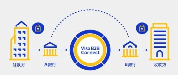 【支付百科】Visa B2B Connect