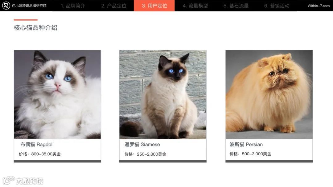 【品牌案例072】600+美金的猫砂盆要怎么卖？