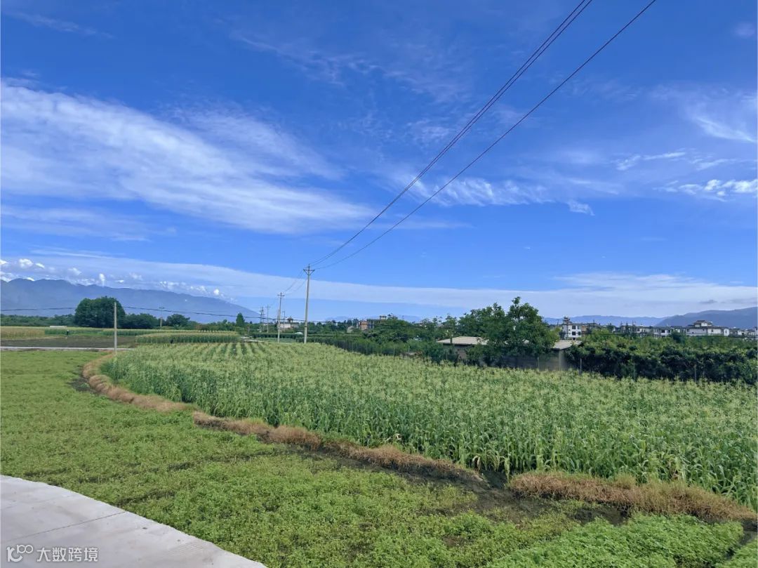 运动的奥义与乐趣｜每个运动品牌都值得拥有