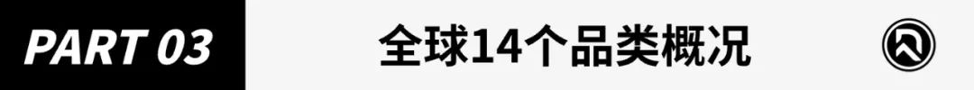 2024年跨境电商品类研究报告