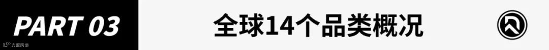 2024年跨境电商品类研究报告