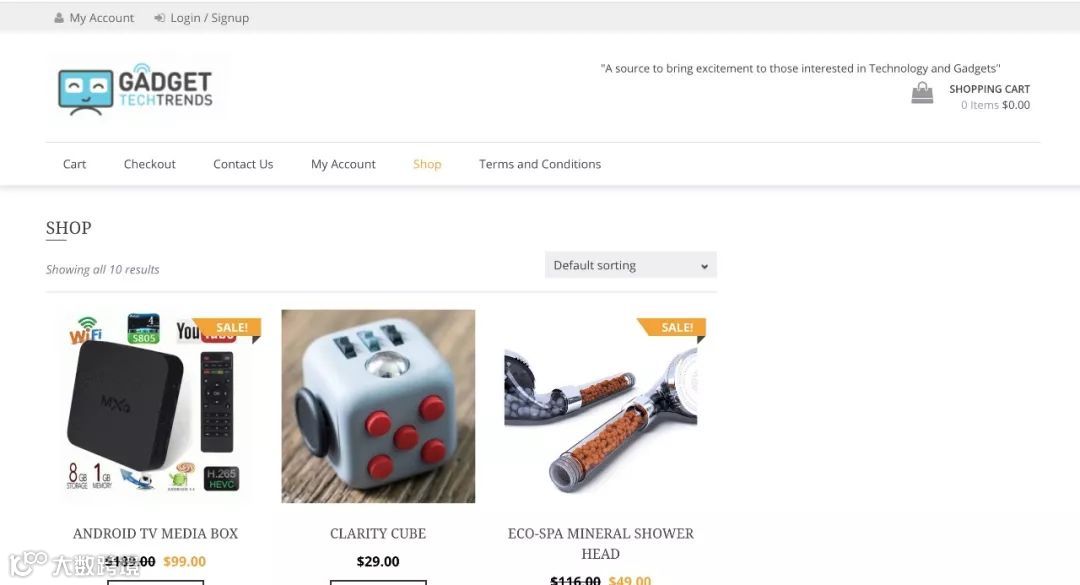 这样推广电商独立站保证你不会赔