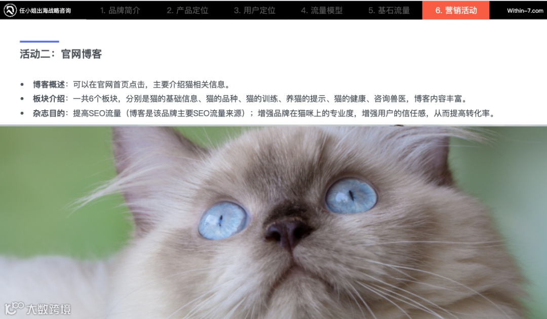 每周行业观点｜宠物赛道的快决策用户