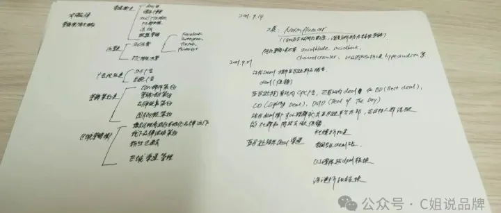 十年外贸销售在C姐VIP社群感受如何：Julia