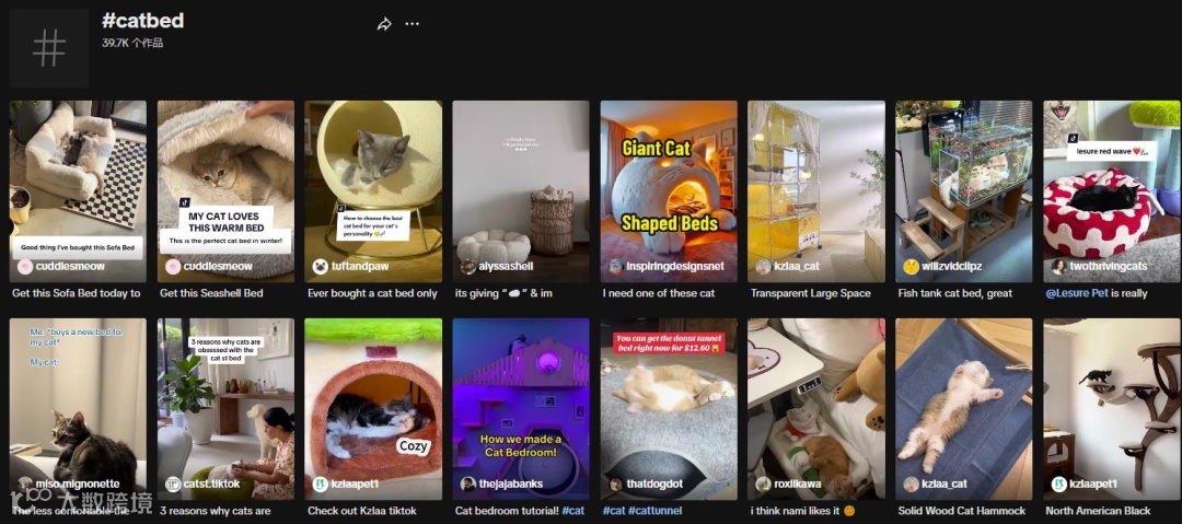 千亿美金高增市场，小众宠物家居出海火热