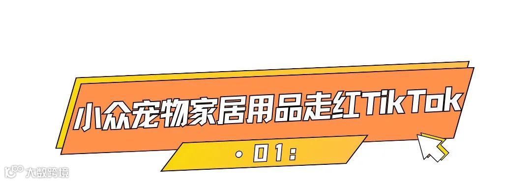 千亿美金高增市场，小众宠物家居出海火热