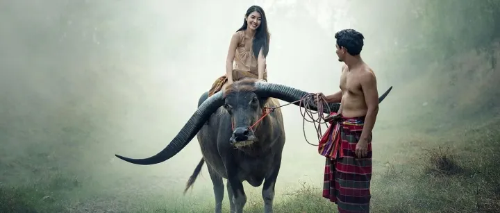 Etsy把你的产品卖向印度