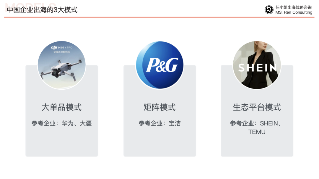 聊聊跨境企业的“生态位”:平衡全球化内功与外功的艺术